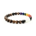 "I Am the Rainbow" Couque Multi-Treasure Bracelet, Original Nanhong, Hetian Jade, Myanmar Yellow, Alxa